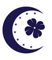 Yeni Türkiye Partisi logosu